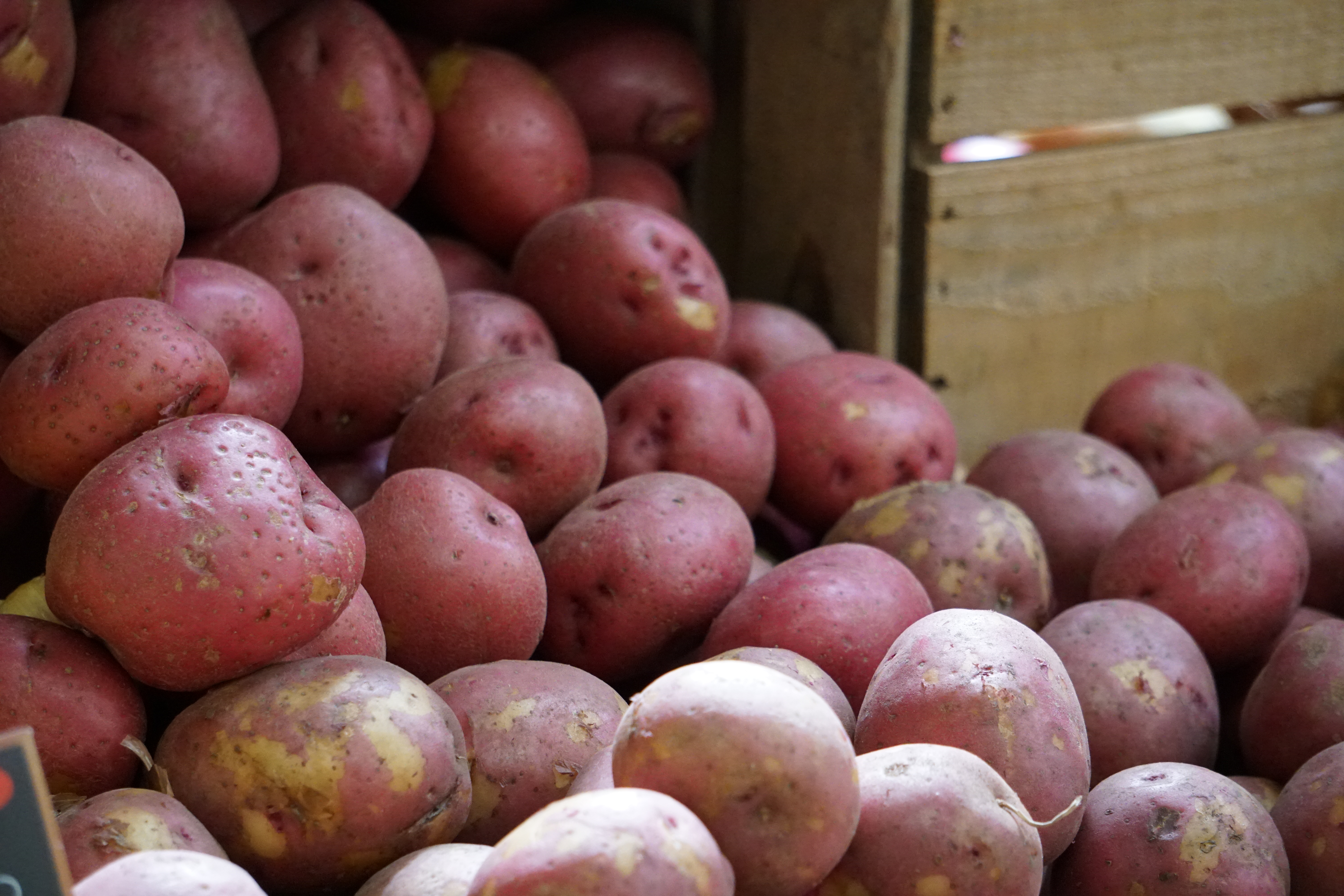 Red Potatoes Penelope Peru Photography