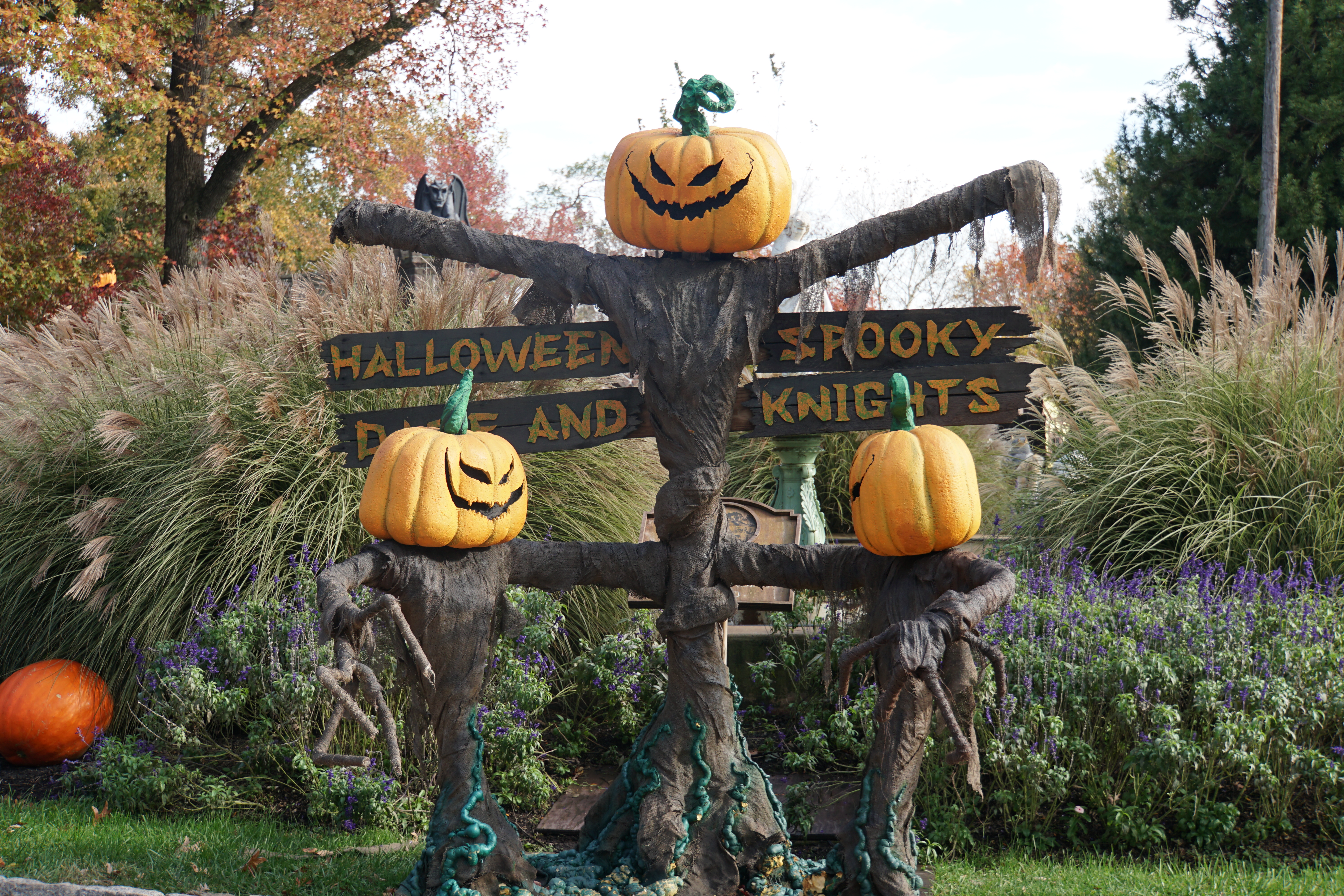 Halloween Spooky Daze and Knights Penelope Peru Photography