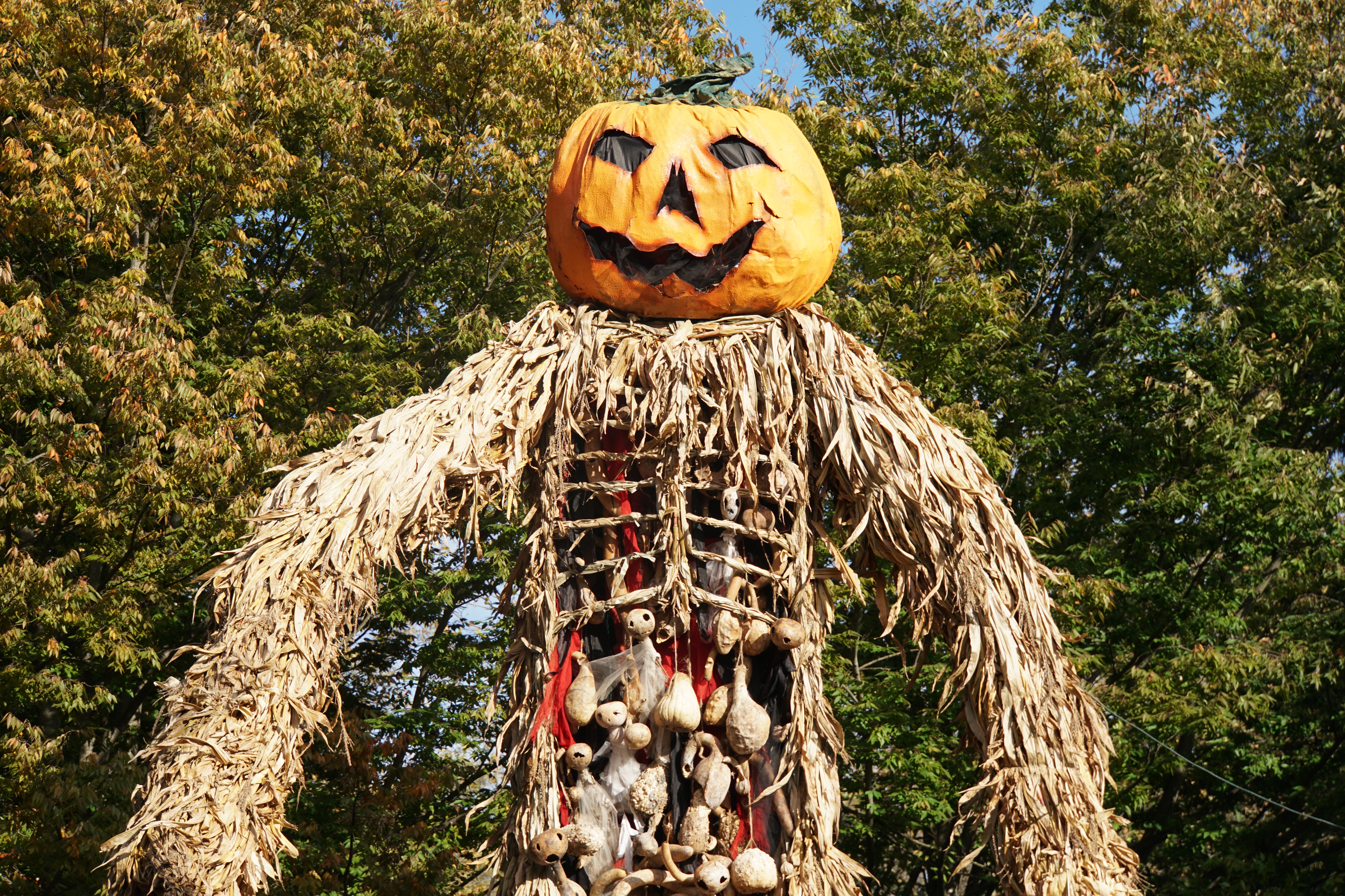 Giant Pumpkin Scarecrow.