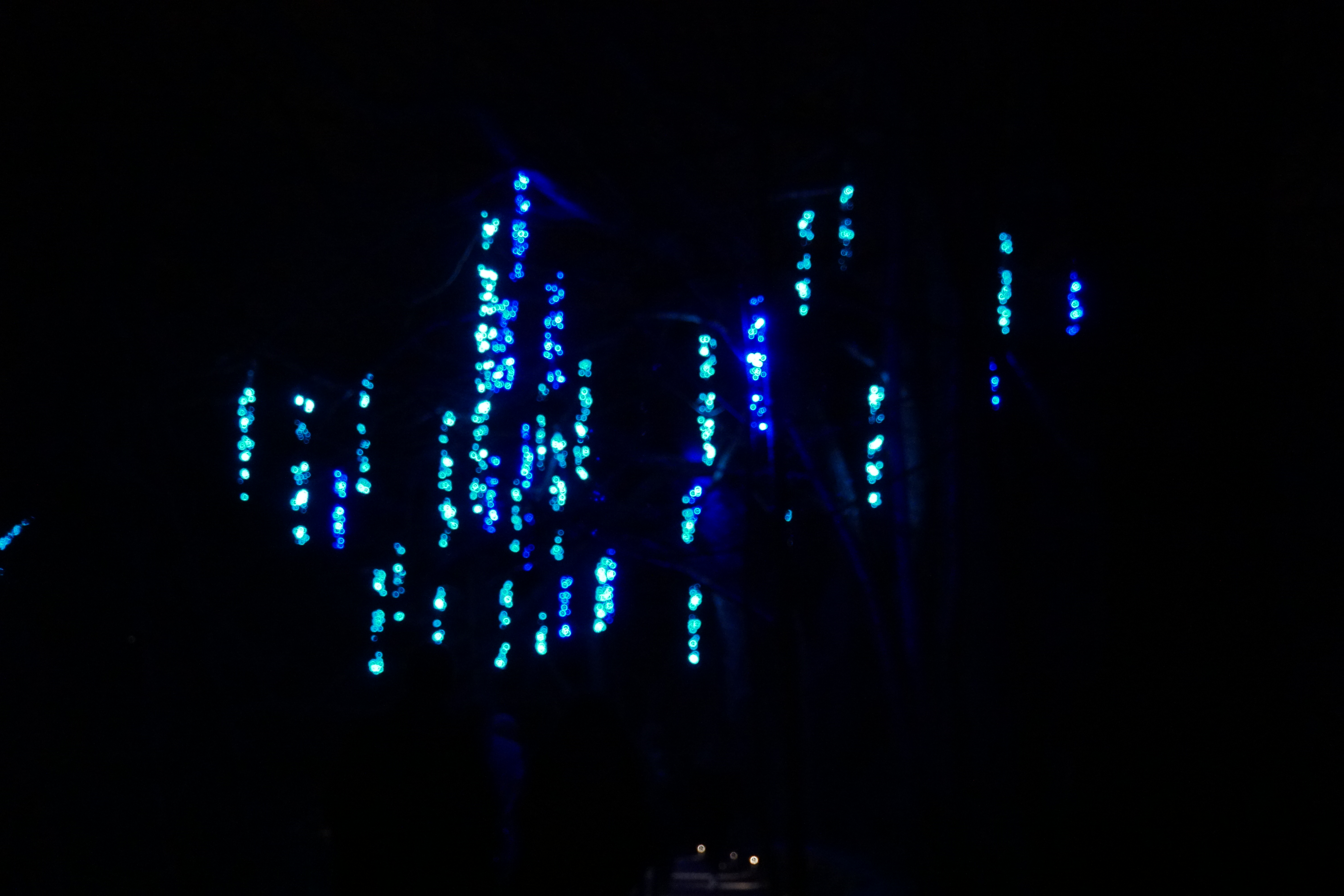 [FRAMES] Twinkling Blue Christmas Lights Penelope Peru Photography