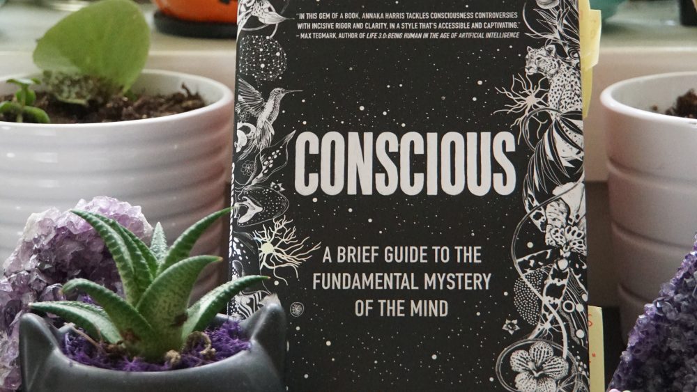 conscious a brief guide to the mystery of the mind Penelope Peru Photography