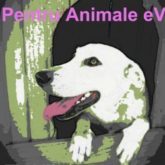 Pentru Animale – Tierhilfe in Rumänien e.V.