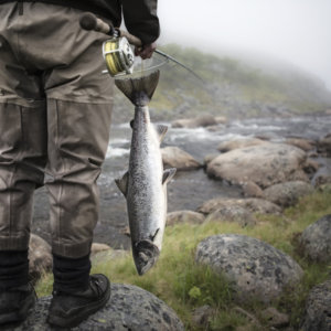 Fisking for lærevillige nybegynnere