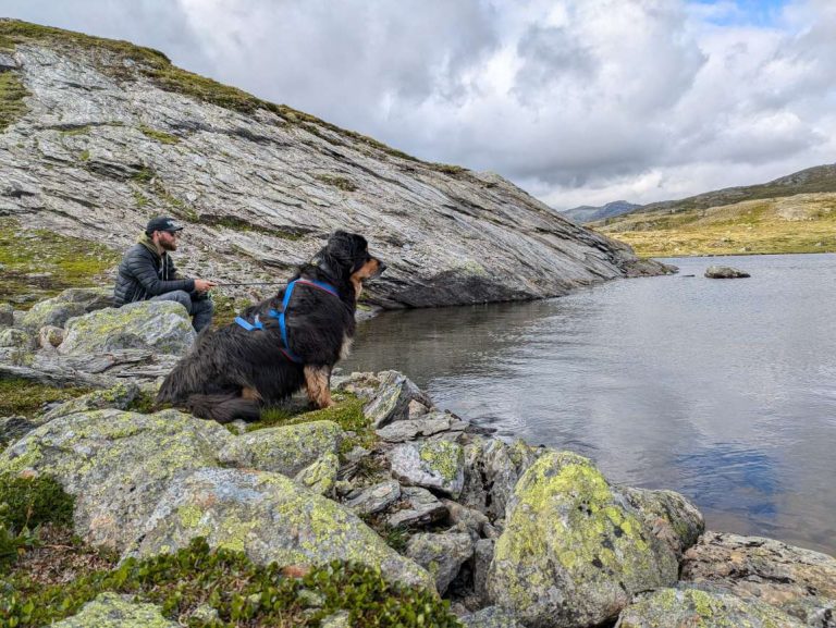 Fisketur i fjellet. Tolmodige fiskere