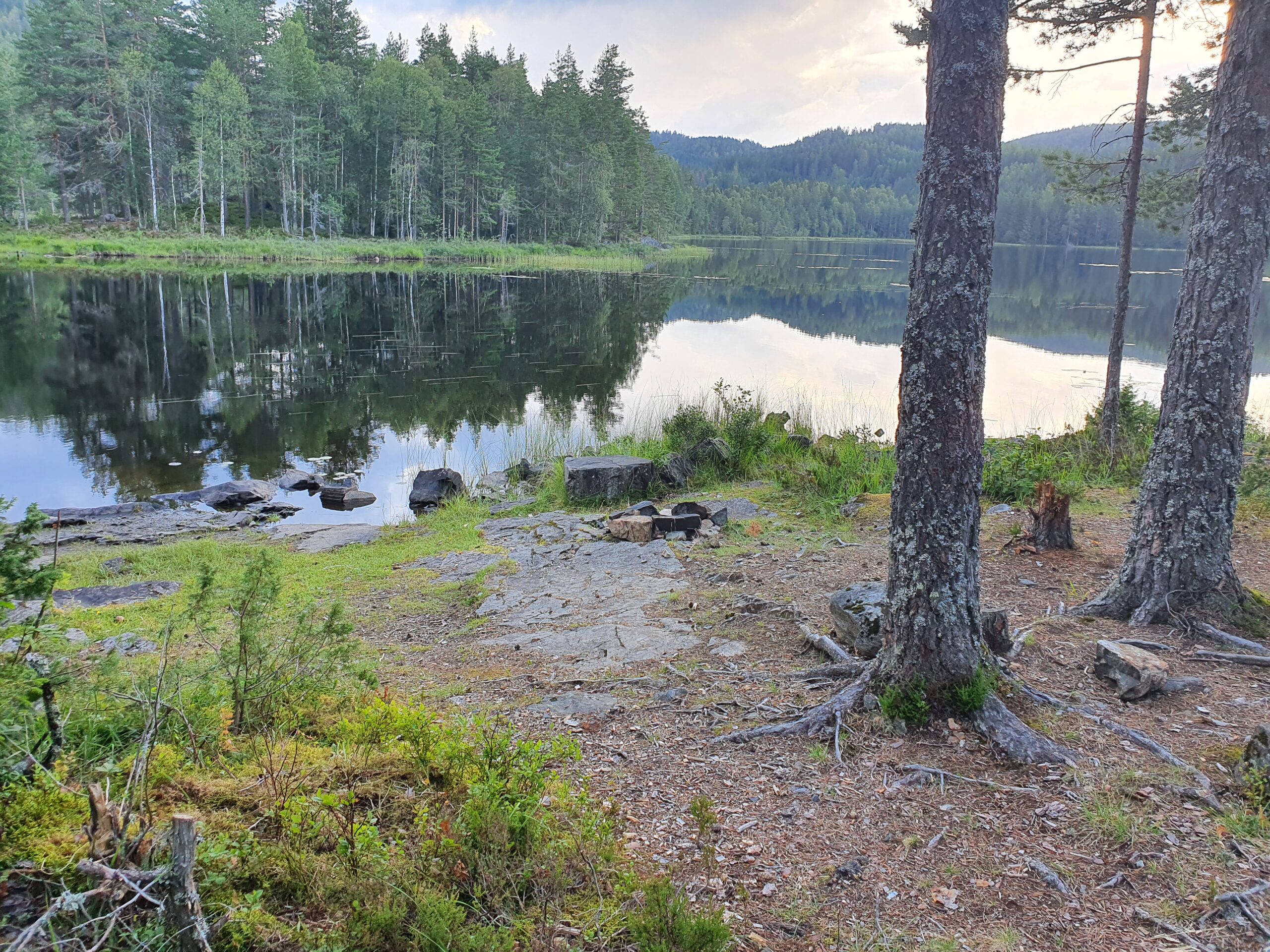 Skogstjern, Ringerike, Viken. fiskeplass