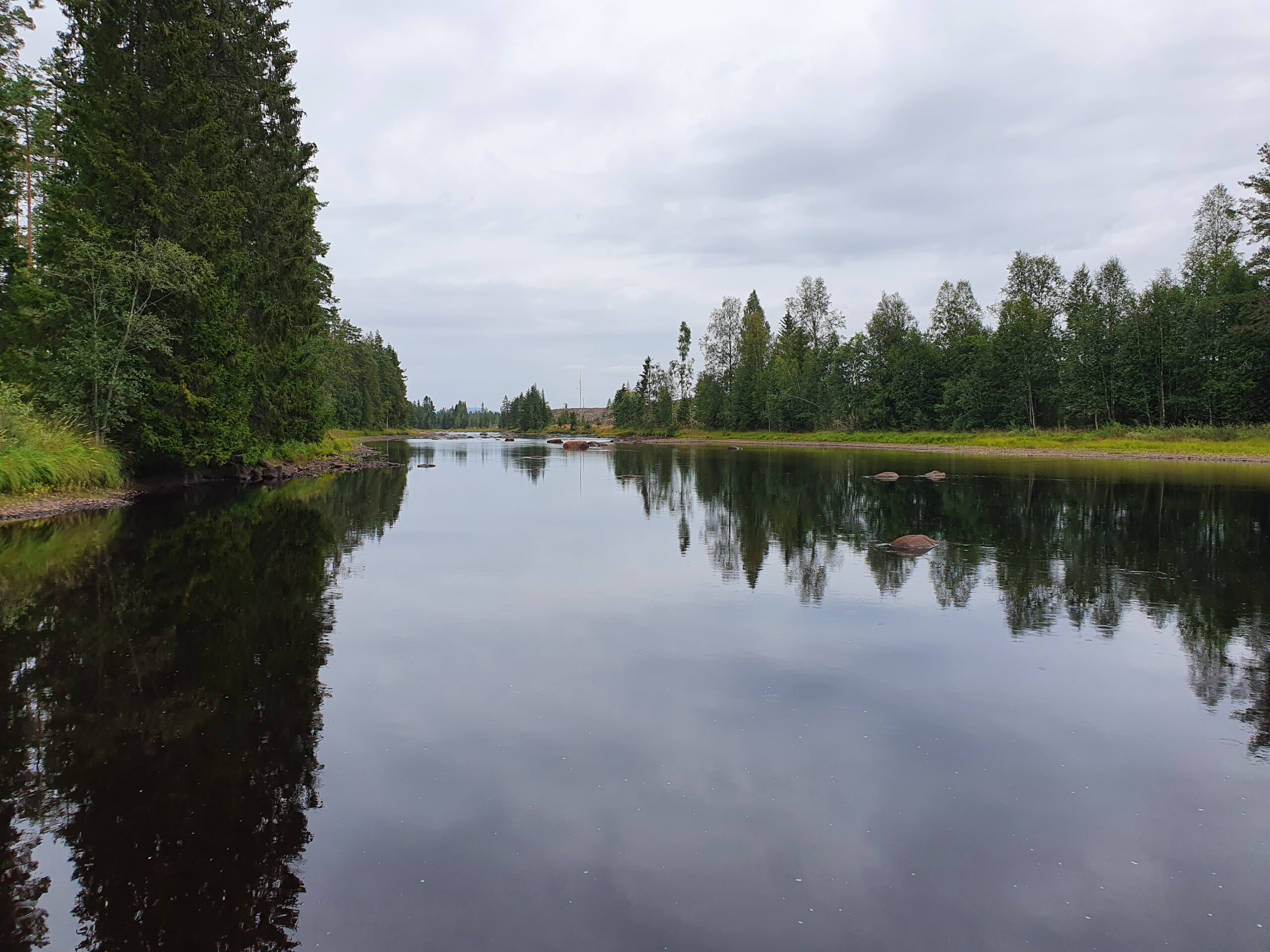 Flisaelva rolige partier hvor fisken kan stå