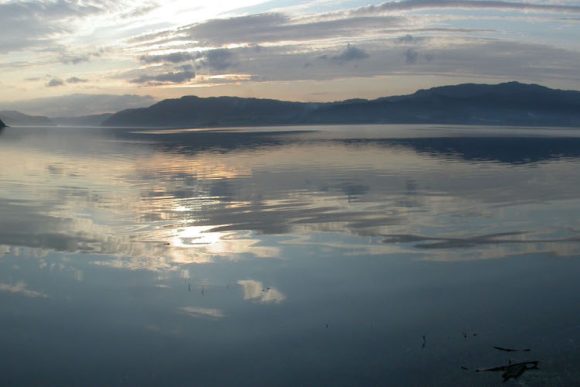 Selbusjøen grunneierlag