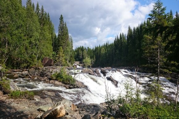 Grongkortet (Sagmohaugen utmarksservice)