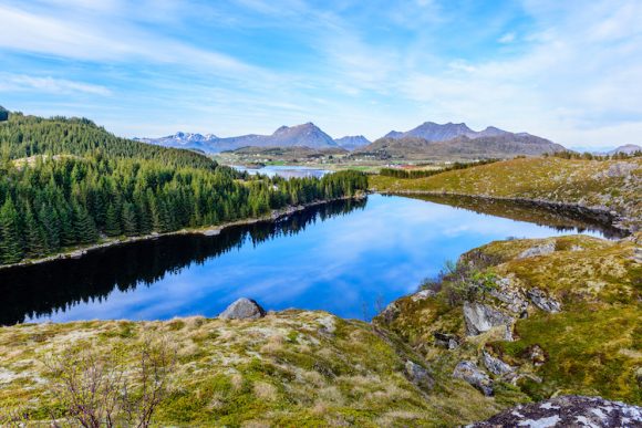 Skottnes og omegn utmarkslag