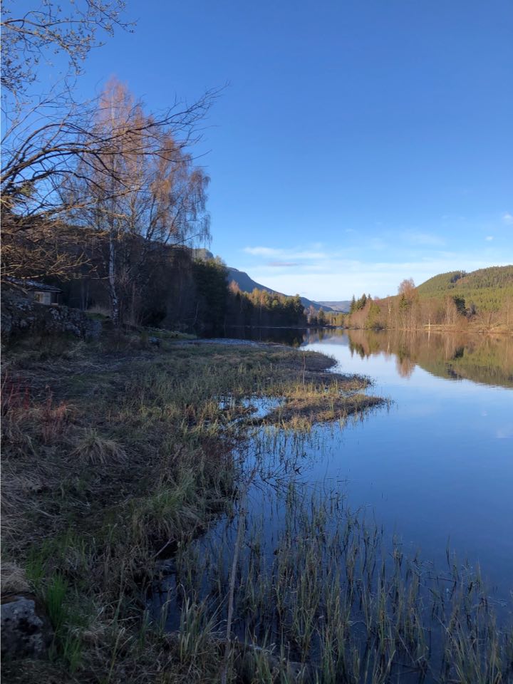 Hallingdalselva Torpo Fiskevern sitt område