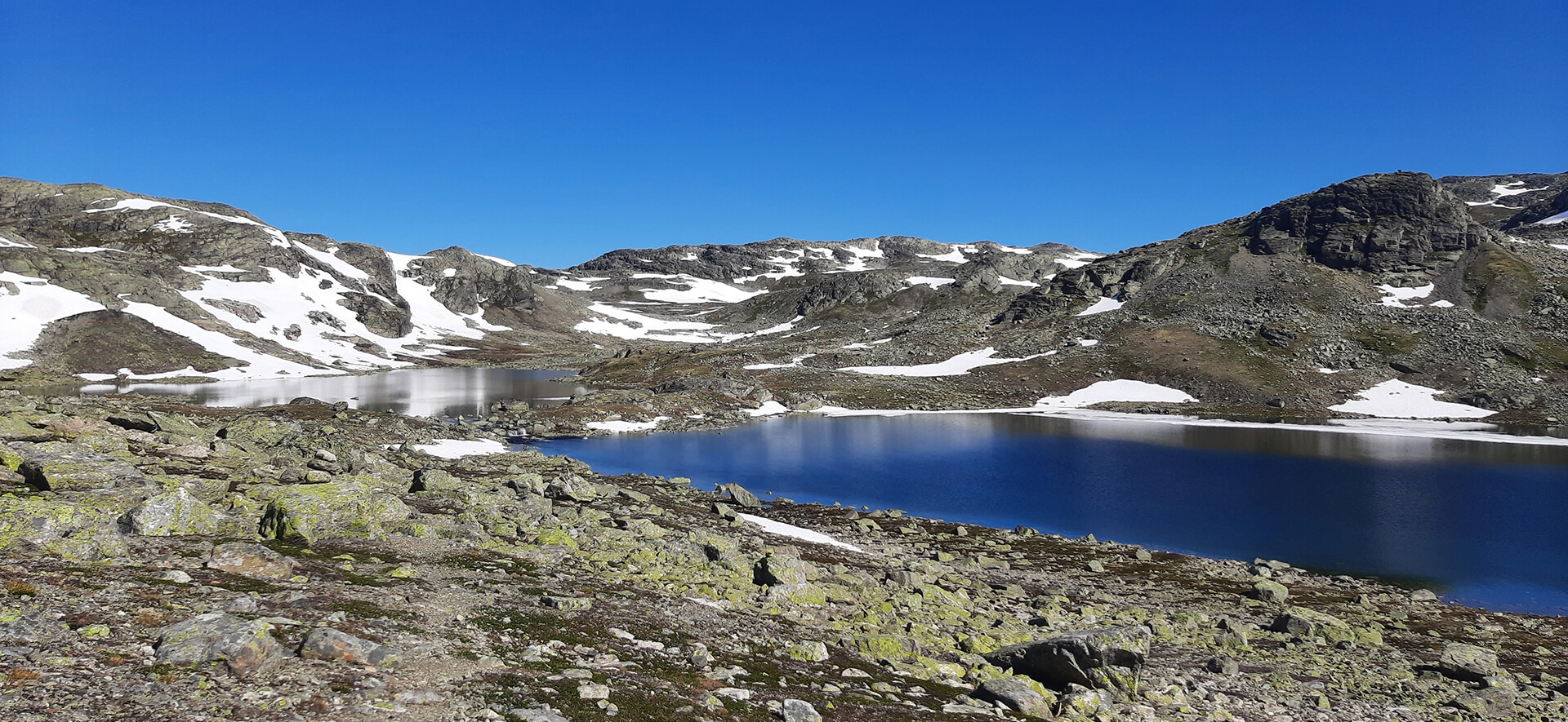 Fiske Hallingdal