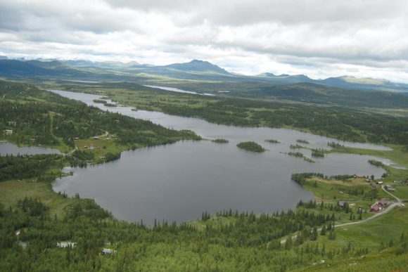 Vangsjøen, Rennsenn og Yddin fiskeforening