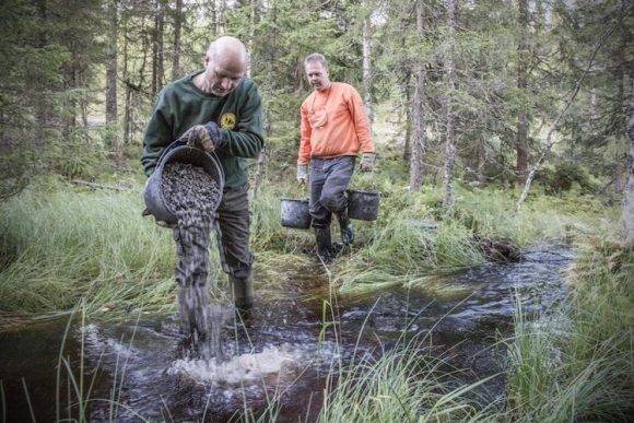 Våler Jakt og fiskeforening