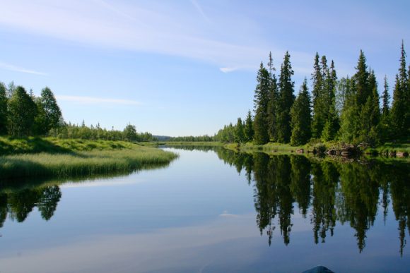 Ringsaker jakt & fiskeområde