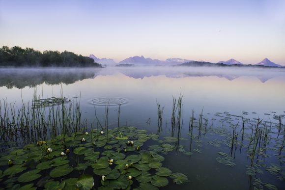 Ytre Hamarøy grunneierlag SA