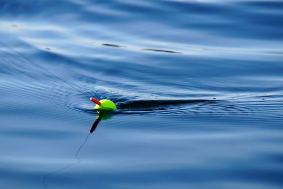 Prestøygard & Storøygard fiskelag