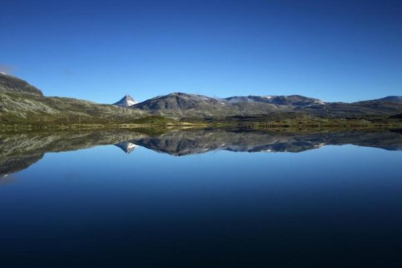 Årdal Jeger og fiskeforening