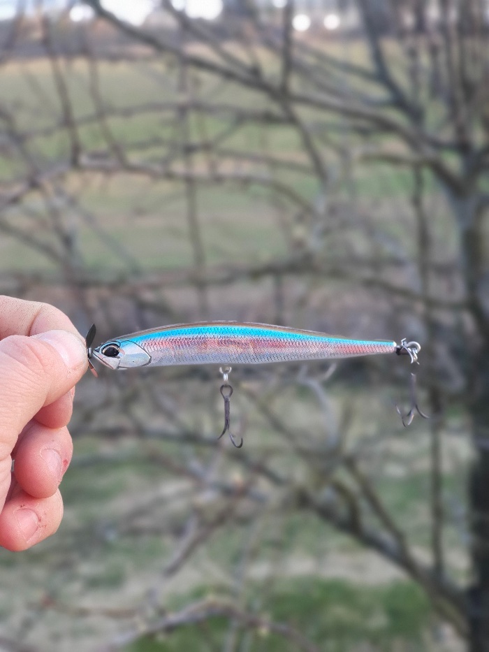 Lager vibrasjoner. DUO Realis Spinbait
