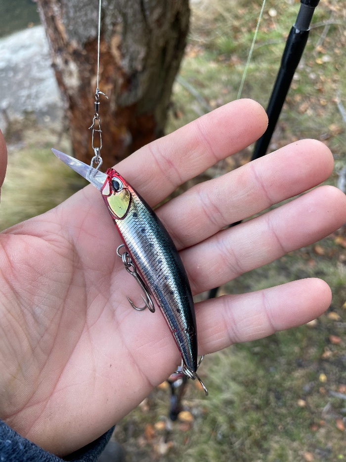 DUO Rough Trail Blazin 85. Ørretfiske
