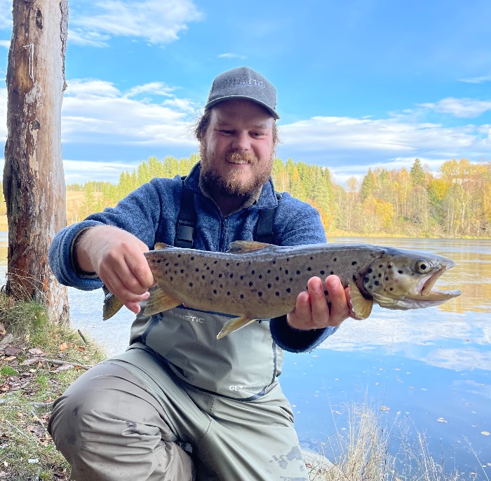 Ørret 1,2kg tatt på DUO Blazin 85