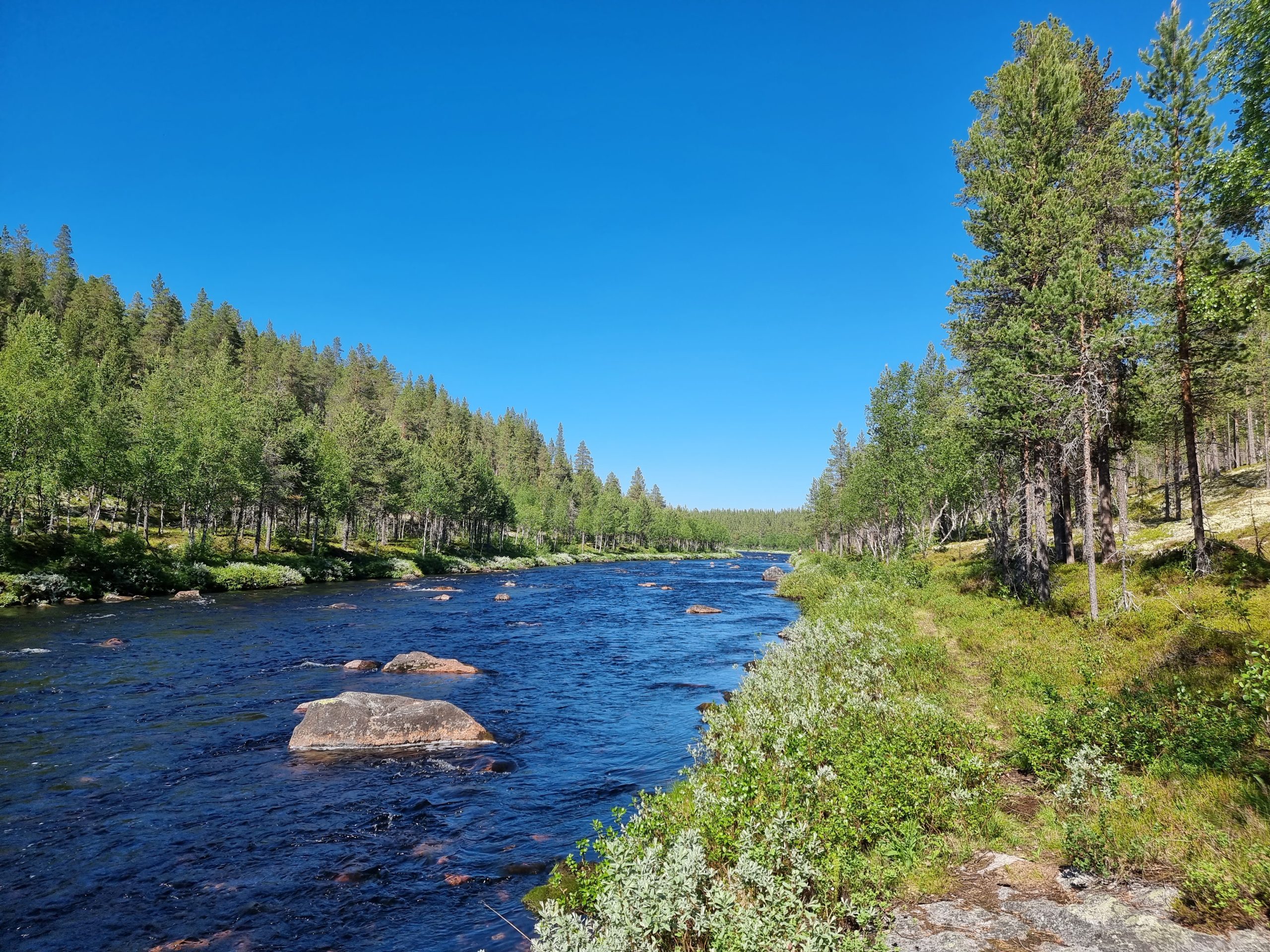 Idyllisk i Rendalen. Fiskeopplevelse