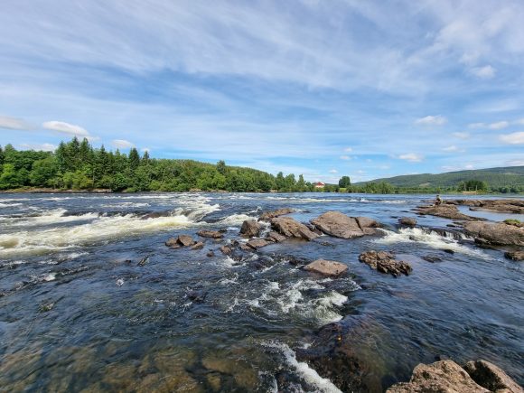 Fiske Norsfossen Glomma