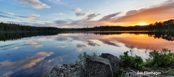 Sorknesskogenes Viltområde SA