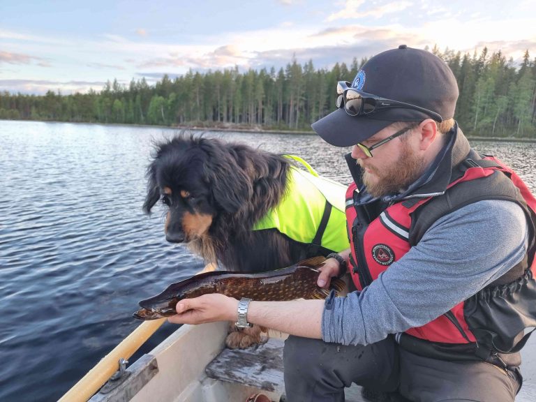 Flotte omgivelser. Finnskogen