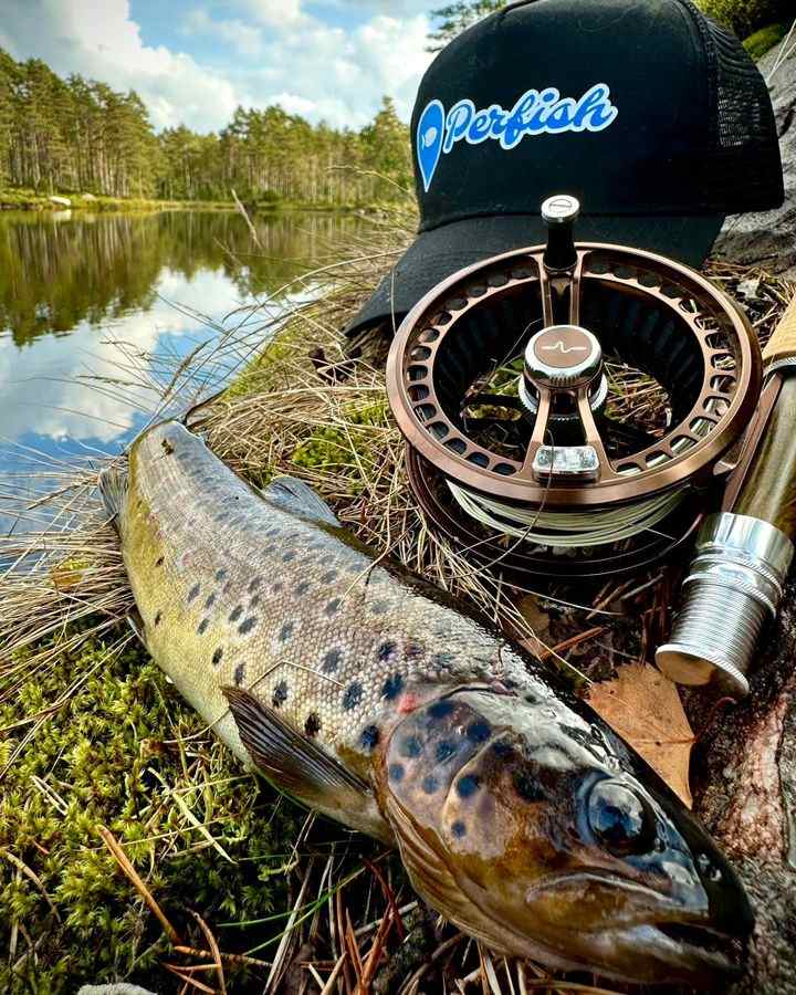 Vestfjella, fiske i østfold