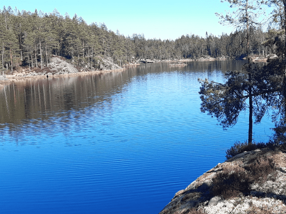 Vestfjella Utmarkslag