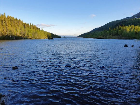 Øvre Valnesfjord grunneierlag