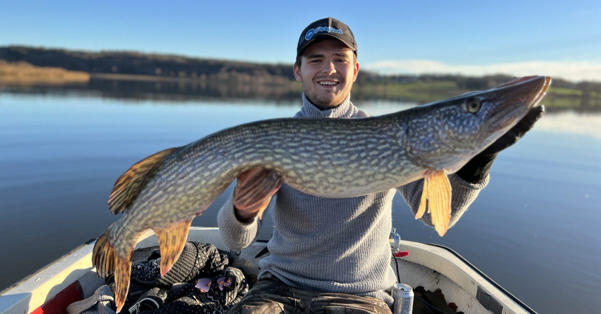 Ambassadør Patryk om høstfiske etter gjedde