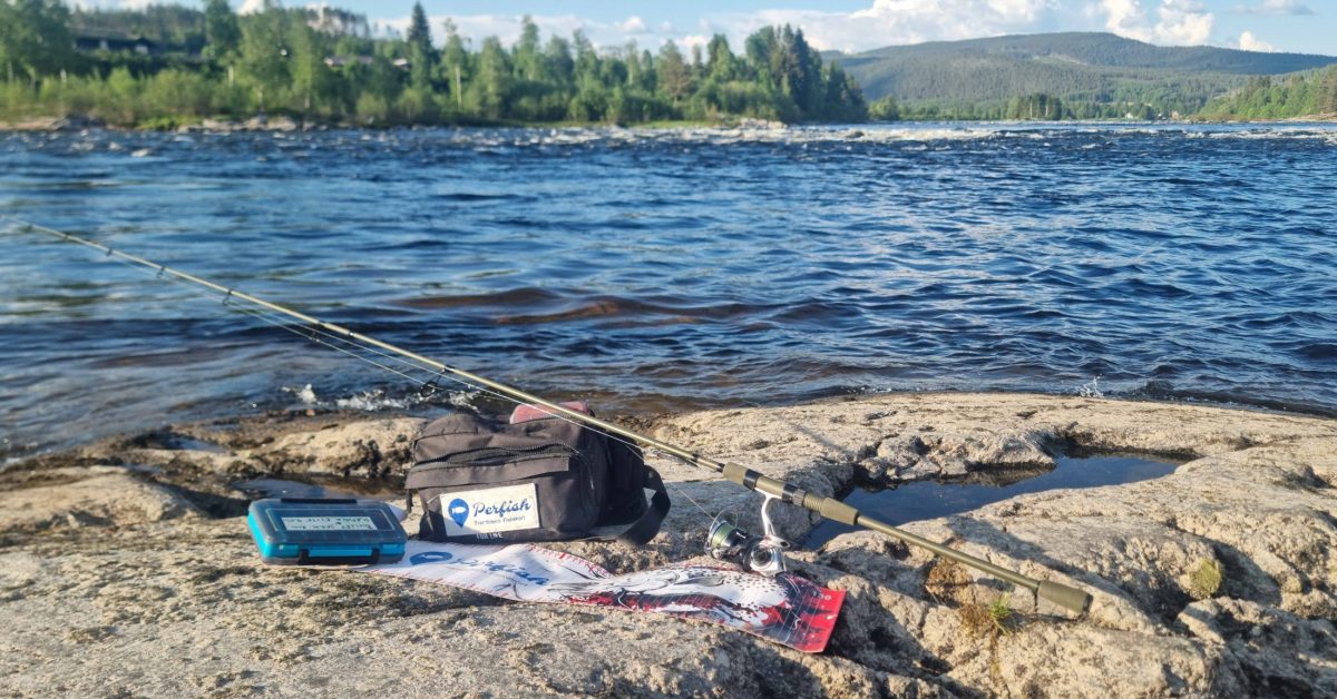 Braid vs. Monofilament: Hvilken Fiskesene er Best for Deg? En Guide til Nybegynnere!