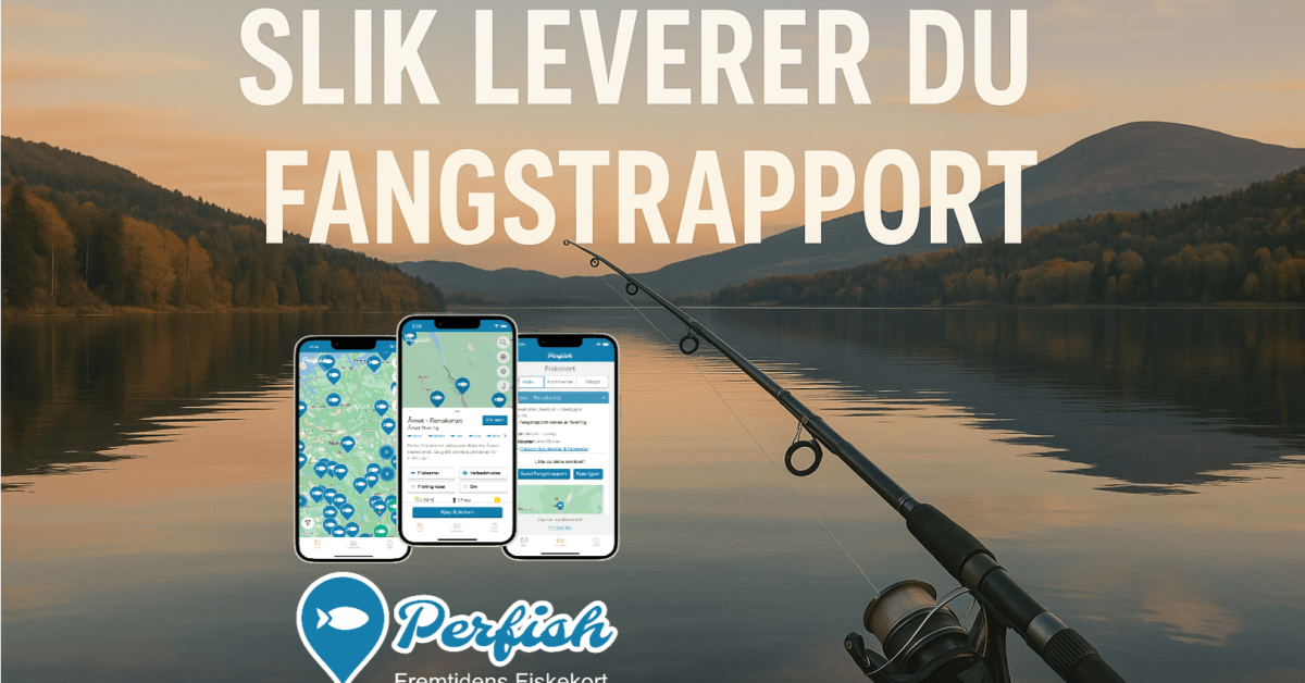 Slik leverer du fangstrapport via Perfish