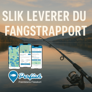 Slik leverer du fangstrapport via Perfish