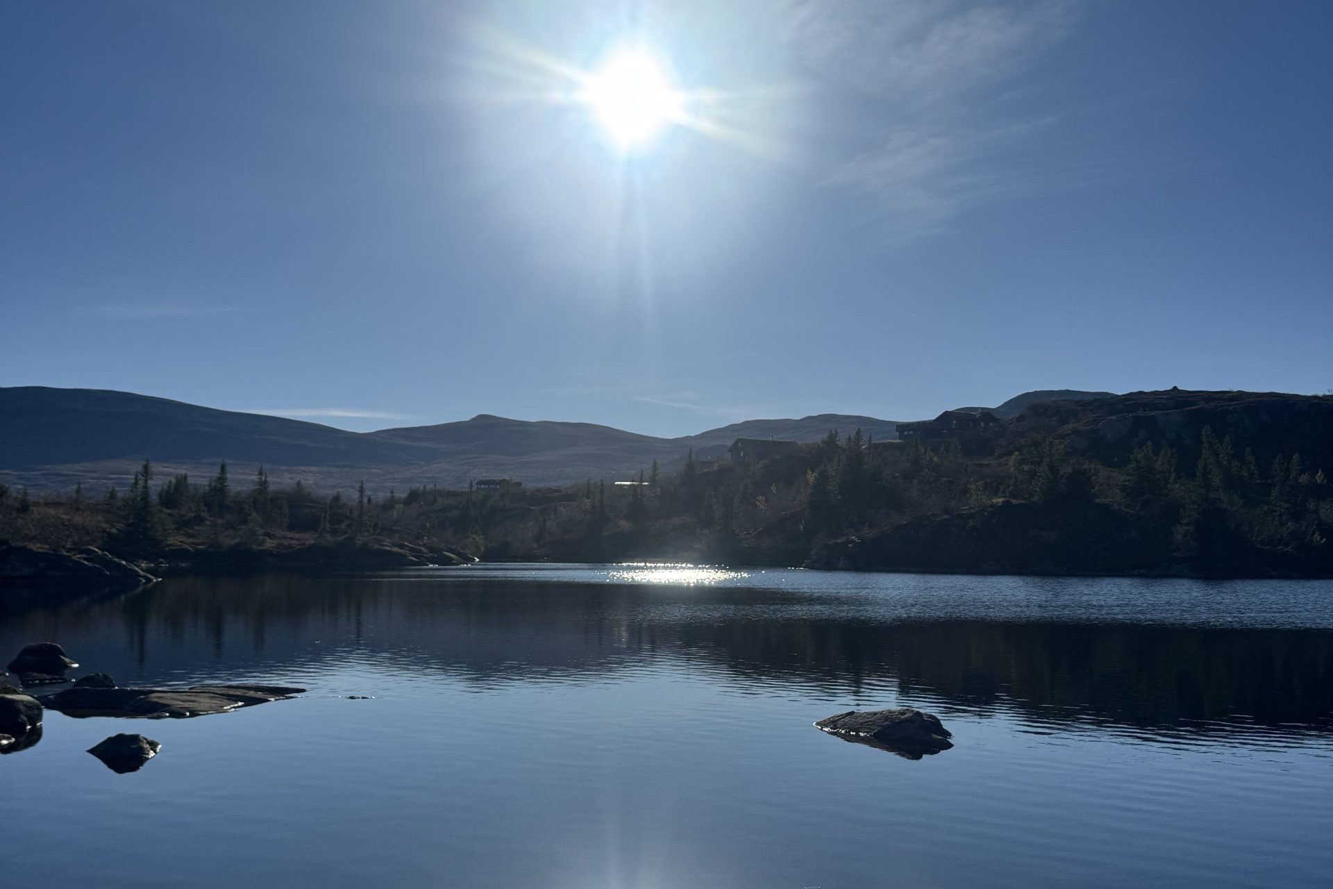 Høgevarde fiske