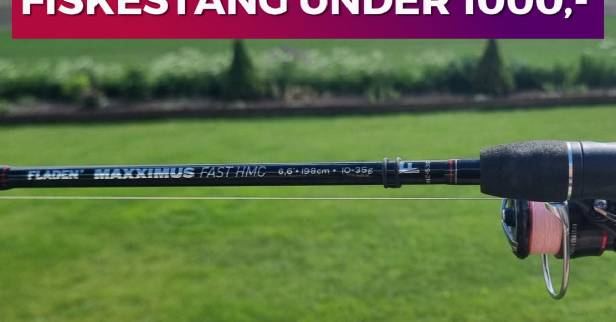 TEST: Kan Fladen toppserie konkurrere med premiumstenger?