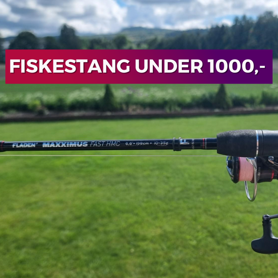 You are currently viewing TEST: Kan Fladen toppserie konkurrere med premiumstenger?