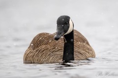 2023-03-29_0Z9_9524-2