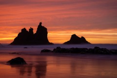 Solnedgang