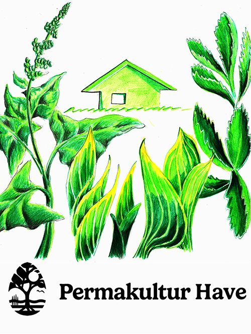 Permakultur Have-logo - besøg en Permakultur Have