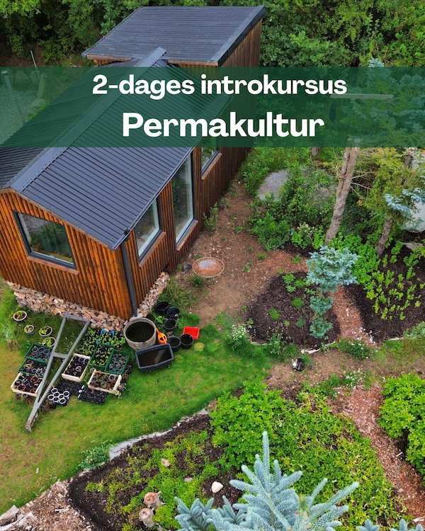 Introkursus permakultur oktober 2026