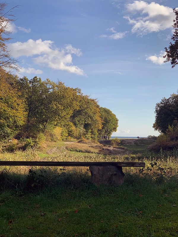 ID Psykoterapeut i Nordjylland