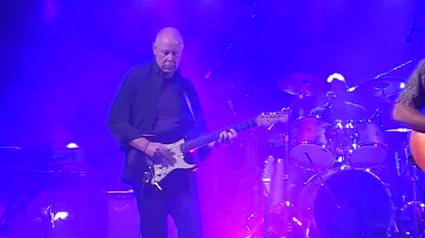 Sultans of swing – Reptiles