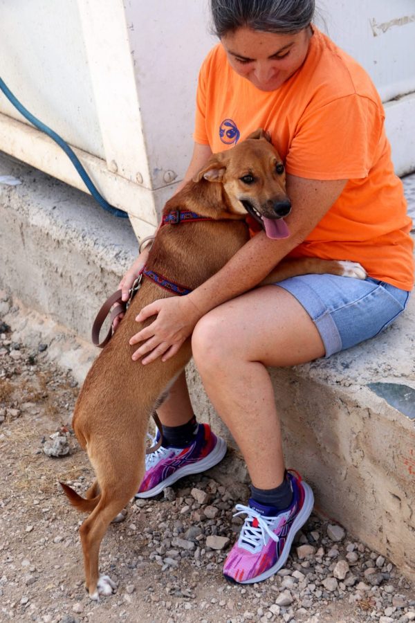 FB_IMG_1752057396659 Calimero. Sponsor: Stichting Dawn Tail Dusk