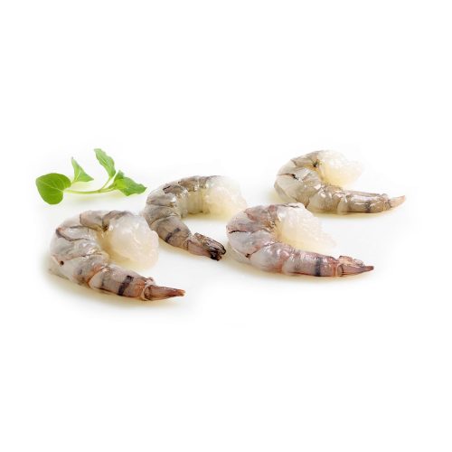 scampis-black-tiger