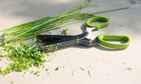 Herb Scissors