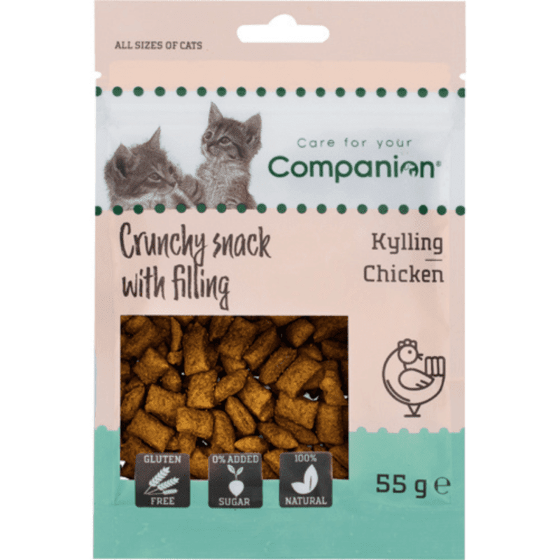 Companion Crunchy Snack With Filling Chicken