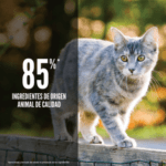 Orijen - Original Cat (Cat & Kitten)1