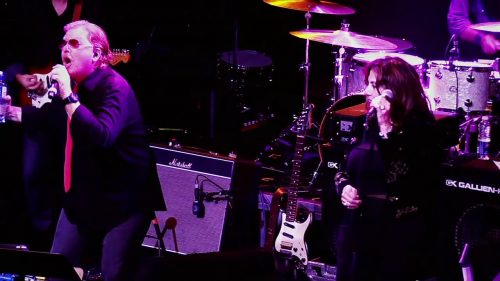 Videos Peter Friestedt videos peter friestedt